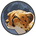 Token Cheetah