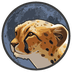 Token Cheetah's Logo