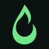 Torch's Logo