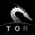 TORCHAIN's Logo