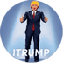 Trump Cards Fraction Token's Logo