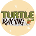 Turtle Racing's Logo