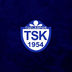 Tuzlaspor Token's Logo