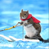 Twiggy the water skiing squirrel's Logo