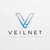 Veilnet's Logo
