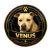 Venus's Logo