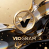 VIOGRAM's Logo