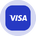 Visa Tokenized Stock (Ondo)