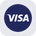 Visa Tokenized Stock (Reality)'s logo