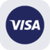 Visa Tokenized Stock (Reality)'s Logo