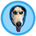 https://s1.coincarp.com/logo/1/wifhooddog.png?style=36&v=1712281899's logo
