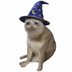 Wizard Cat's Logo