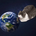 world licking cat