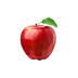 World Record Apple's Logo
