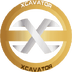 Xcavator International's Logo