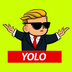 YOLO's Logo