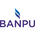 Banpu Public Company's Logo