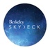Berkeley SkyDeck's Logo