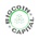 Bigcoin Capital's Logo
