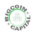 Bigcoin Capital's Logo