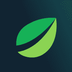 Bitfinex's Logo