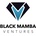 Black Mamba Ventures's Logo