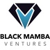 Black Mamba Ventures's Logo