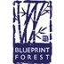 Blueprint Forest's Logo