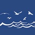 Bluewatch Ventures's Logo