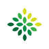 CKB 生态基金's Logo
