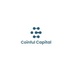 Coinful Capital's Logo