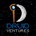 Druid Ventures's Logo