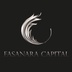Fasanara Capital's Logo