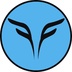 Flying Falcon's Logo