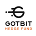 Gotbit Hedge Fund's Logo