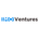 IMO Ventures's Logo