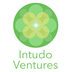 Intudo Ventures's Logo