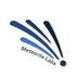 Meteorite Labs's Logo