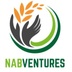 Nabventures's Logo