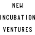 New Incubation Ventures's Logo