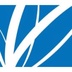 Paper Excellence's Logo