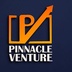 Pinnacle Venture's Logo