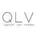 Quantum Leap Ventures's Logo