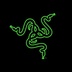 Razer's Logo