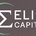 Selini Capital's Logo