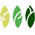 TPY Capital's Logo