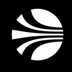 Anyflo's Logo'