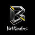 BitRealms's Logo