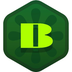 BorpaToken's Logo
