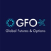 GFO-X's Logo'
